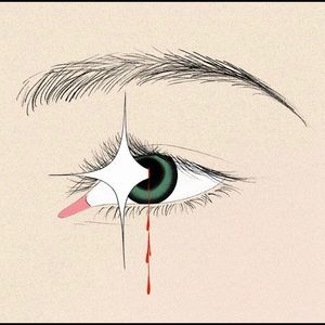 Meet your Posher, Shanti